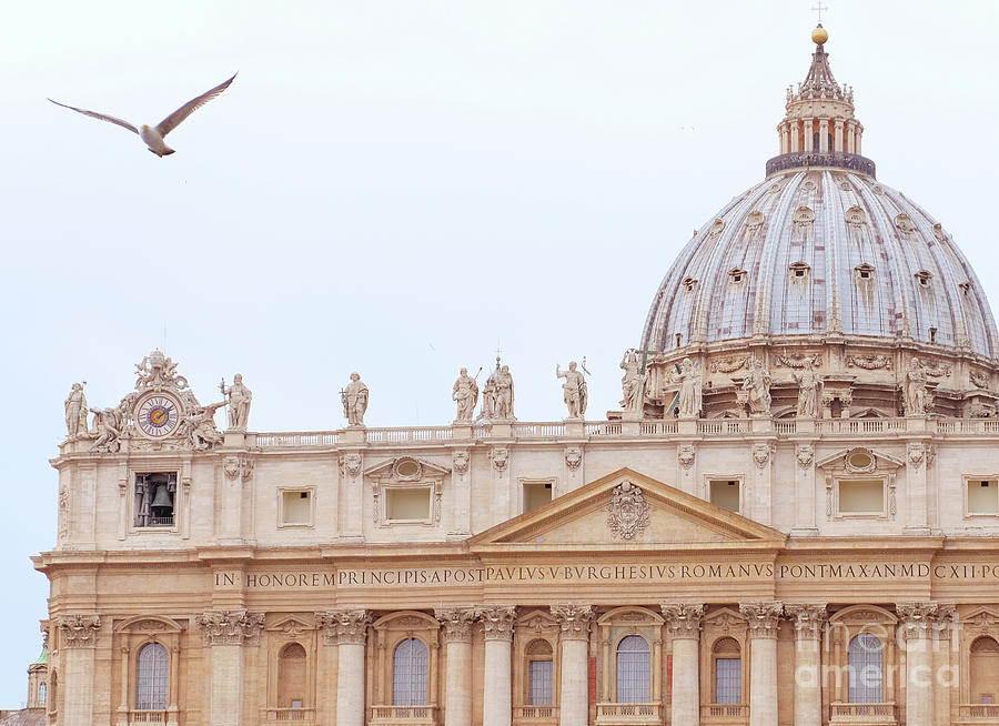 The Vatican Photograph by Mini Arora