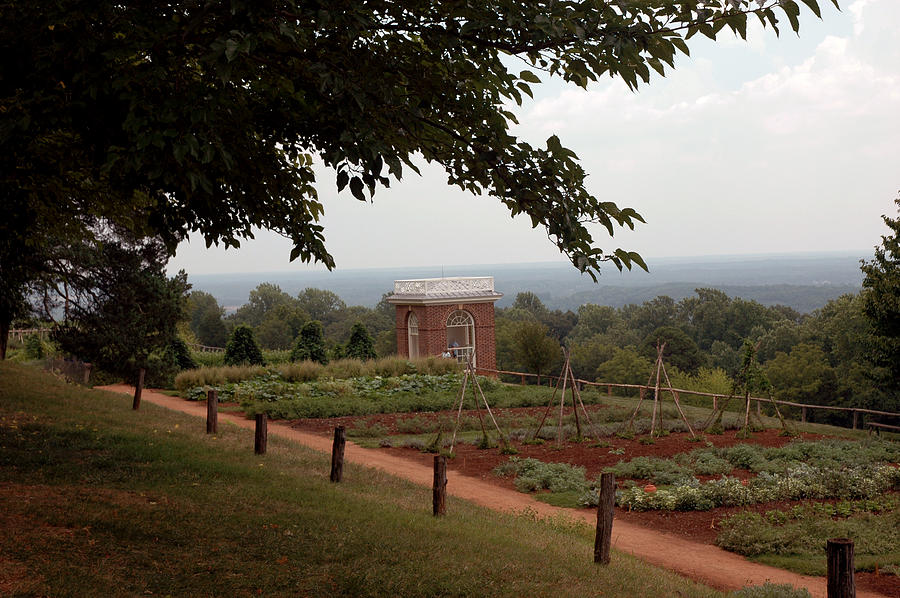 Thomas Jefferson Photograph - The Vegetable Garden at Monticello by LeeAnn McLaneGoetz McLaneGoetzStudioLLCcom