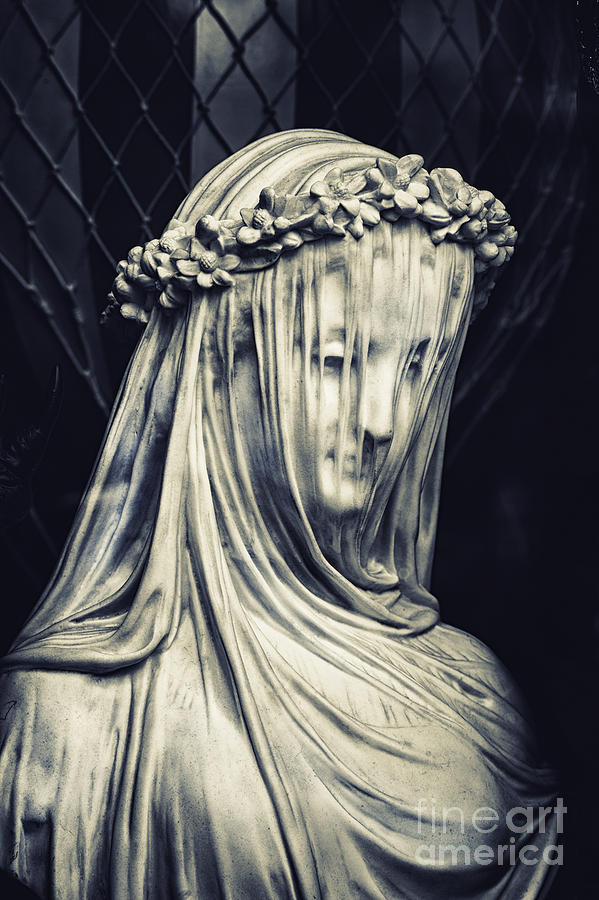 The Veiled Maiden Photograph by Tim Gainey