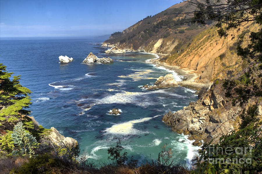 Tree Photograph - The View, Big Sur by Paul Gillham