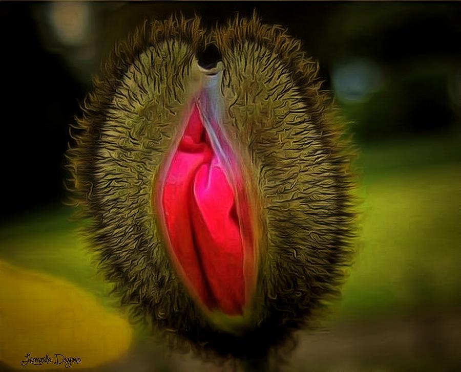 The Venus Flytrap Flower - Da Digital Art