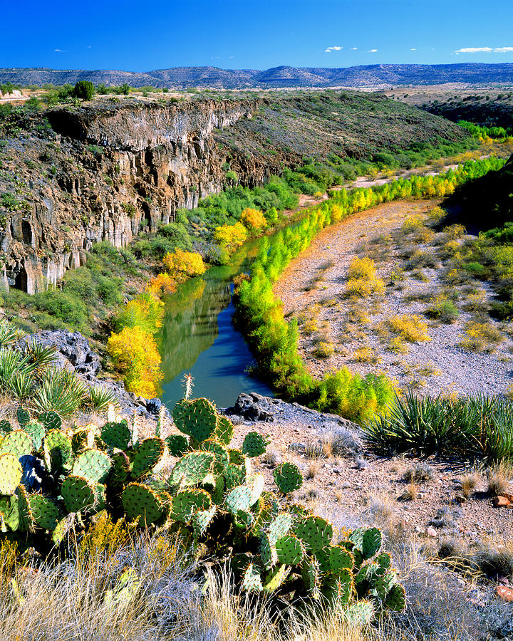The Verde River Photograph by Frank Houck