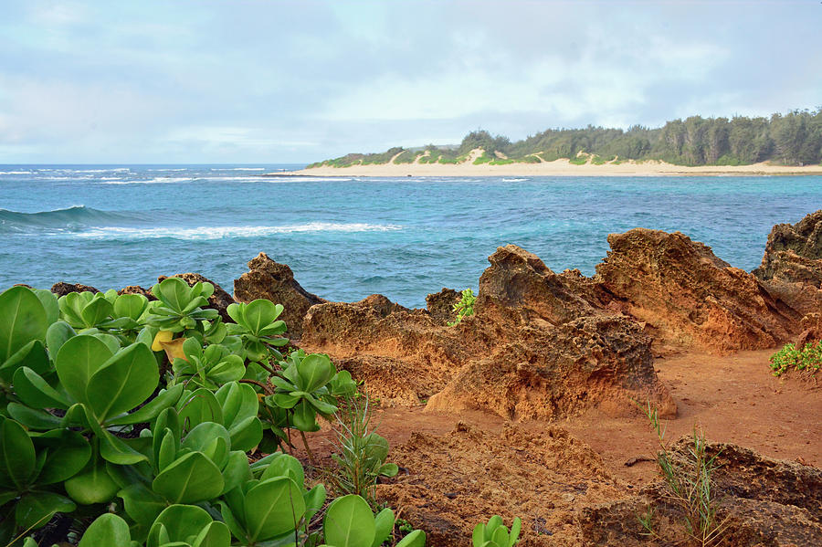 The View at Mahaulepu Beach Hawaii Photograph by Bruce Gourley