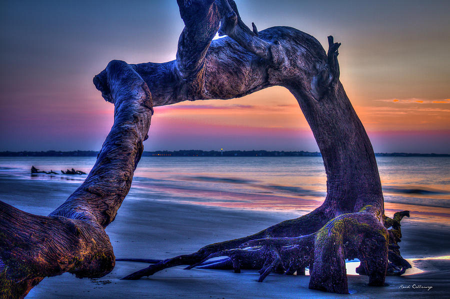Georgia Coastal Islands Photograph - The View Driftwood Beach Jekyll Island Sunrise Art by Reid Callaway