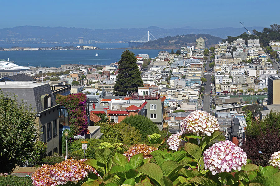 The view from Lombard Street San Francisco CA Photograph by Toby McGuire