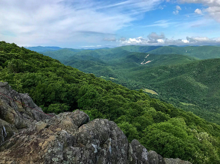 The View from Raven's Roost by Lori Coleman The View from Raven's Roost by Lori Coleman