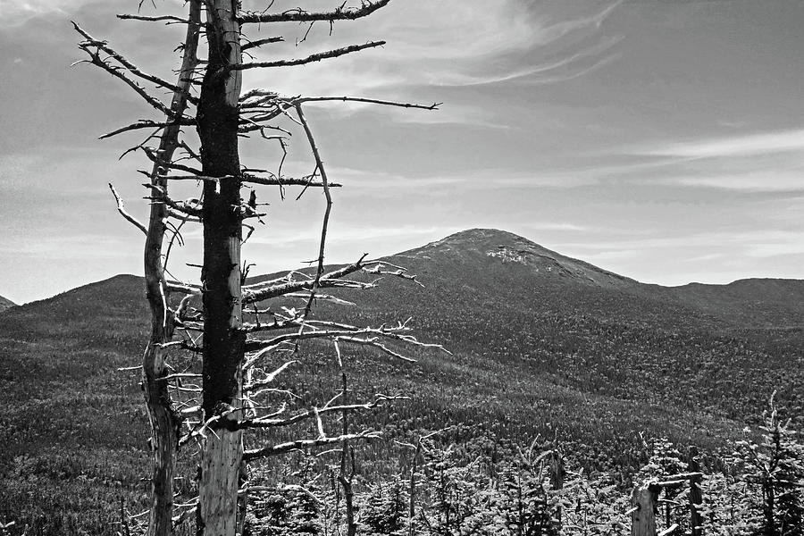 The View from Tabletop Mountain Adirondacks Upstate New York Black and White Photograph by Toby McGuire