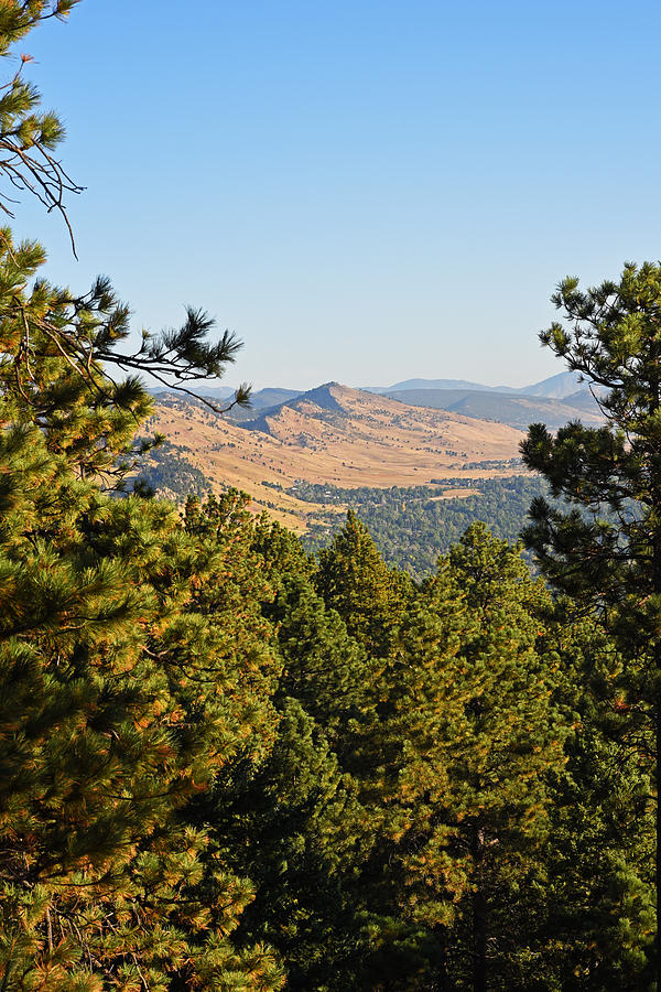 The view from the Flatirons Looking down on Boulder, CO Pine trees Photograph by Toby McGuire
