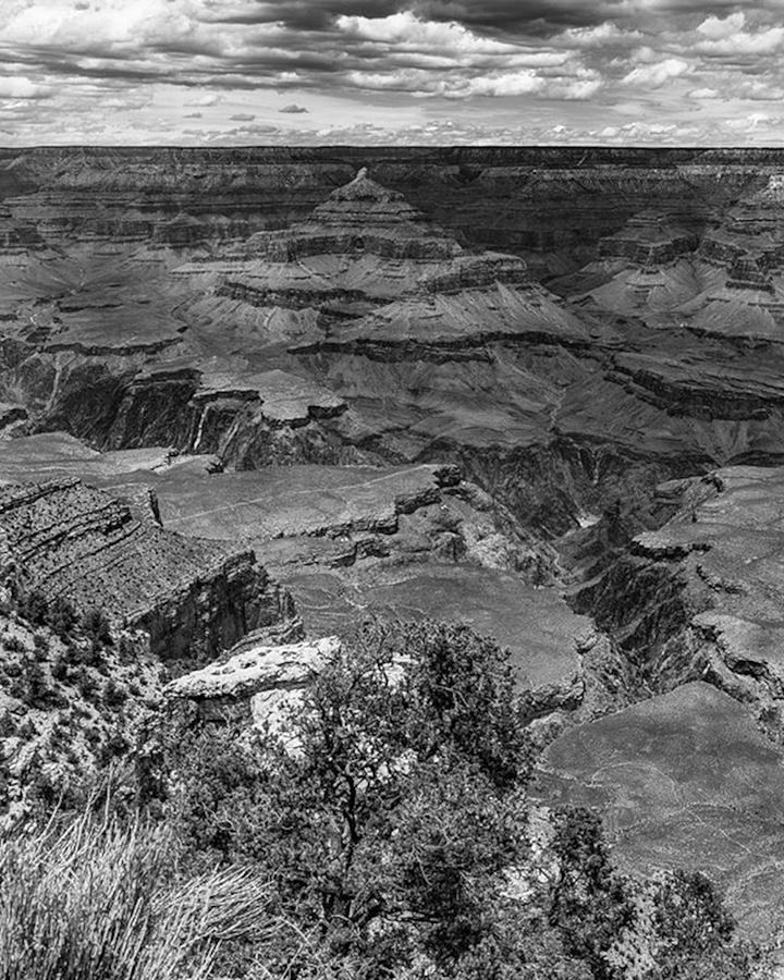 The View From The South Rim Visitor Photograph by Eric Adams