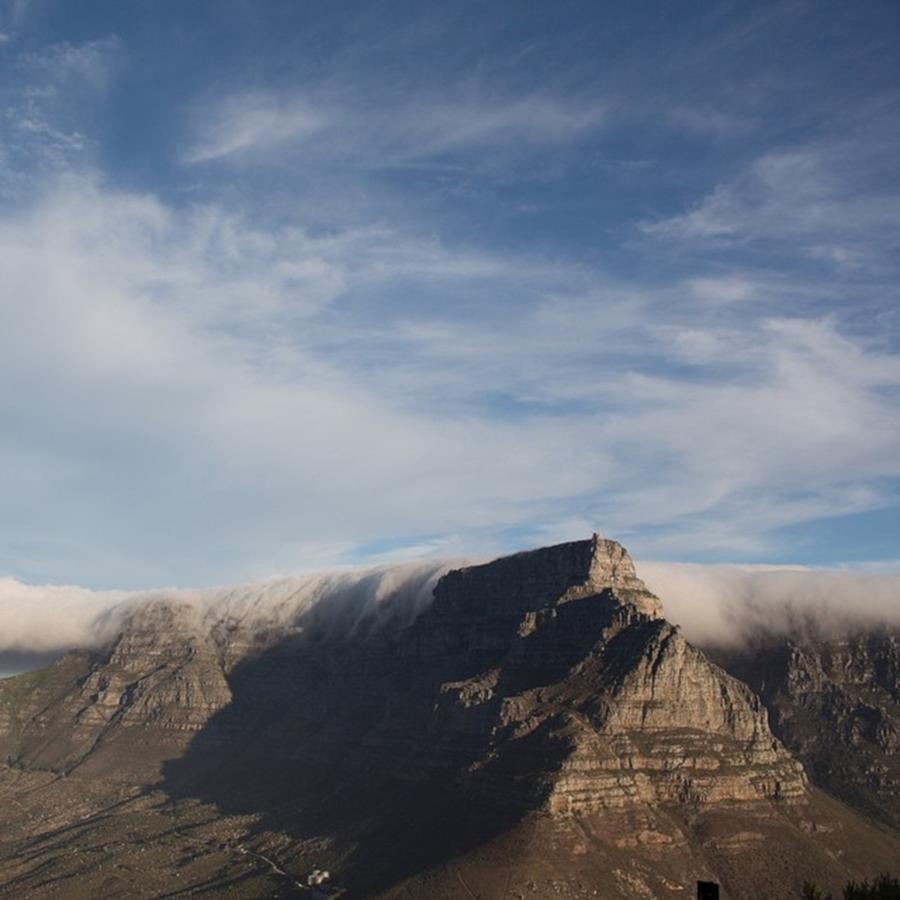 Lion Photograph - Table Mountain by Lorna Mason