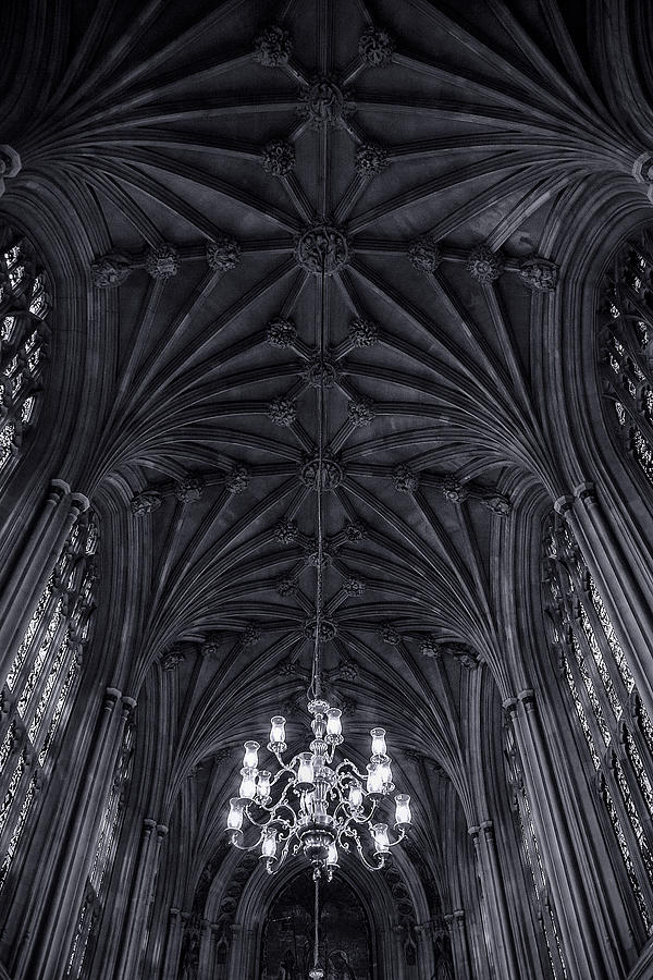 Black And White Photograph - The View Up by Andrew Soundarajan