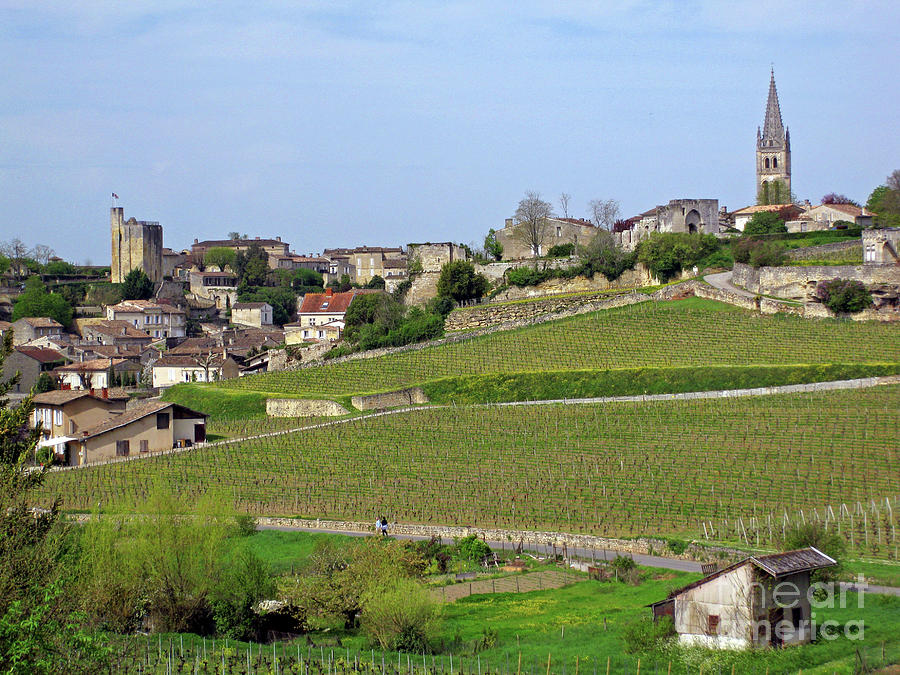 The vineyards of Saint-Emilion Photograph by Rod Jones