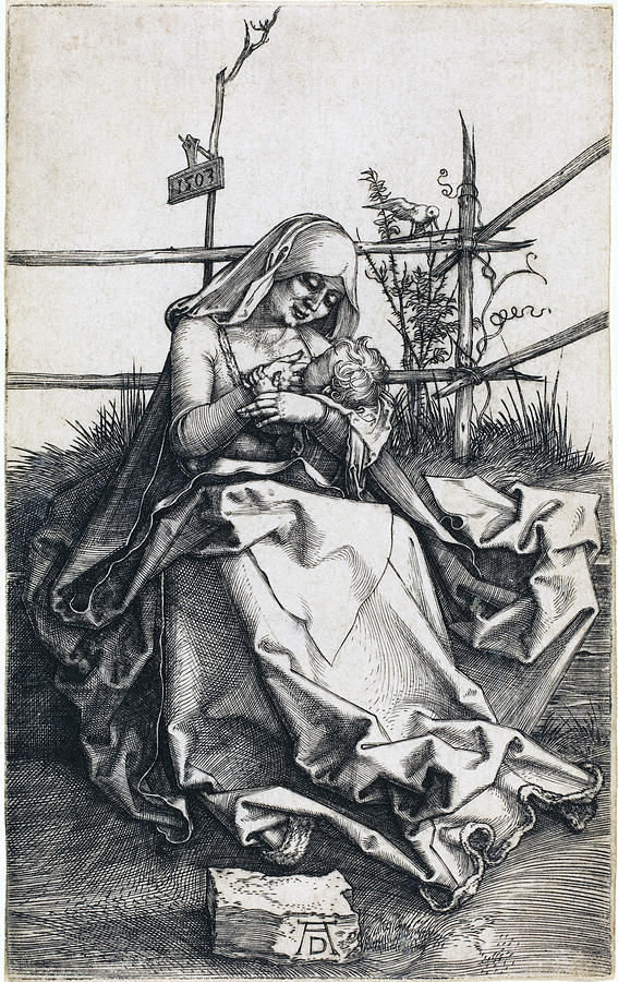 The Virgin and Child on a Grassy Bench Drawing by Albrecht Durer