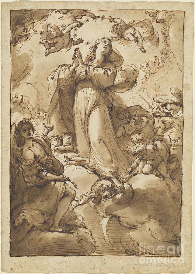 The Virgin Of The Immaculate Conception Drawing by Ubaldo Gandolfi