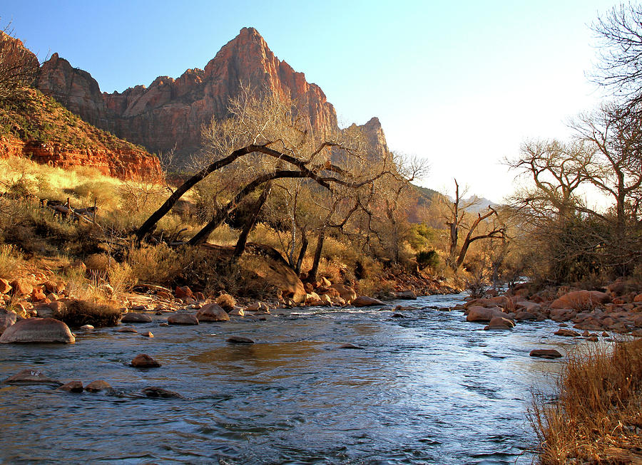 The Virgin River Zion Sunset Photograph by Ed Riche
