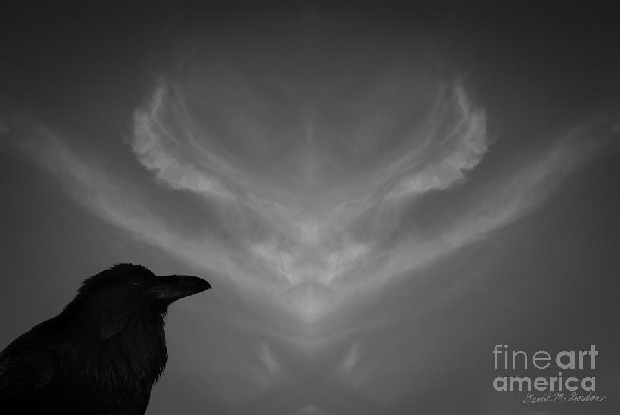 Blackbird Photograph - The Visitation by David Gordon