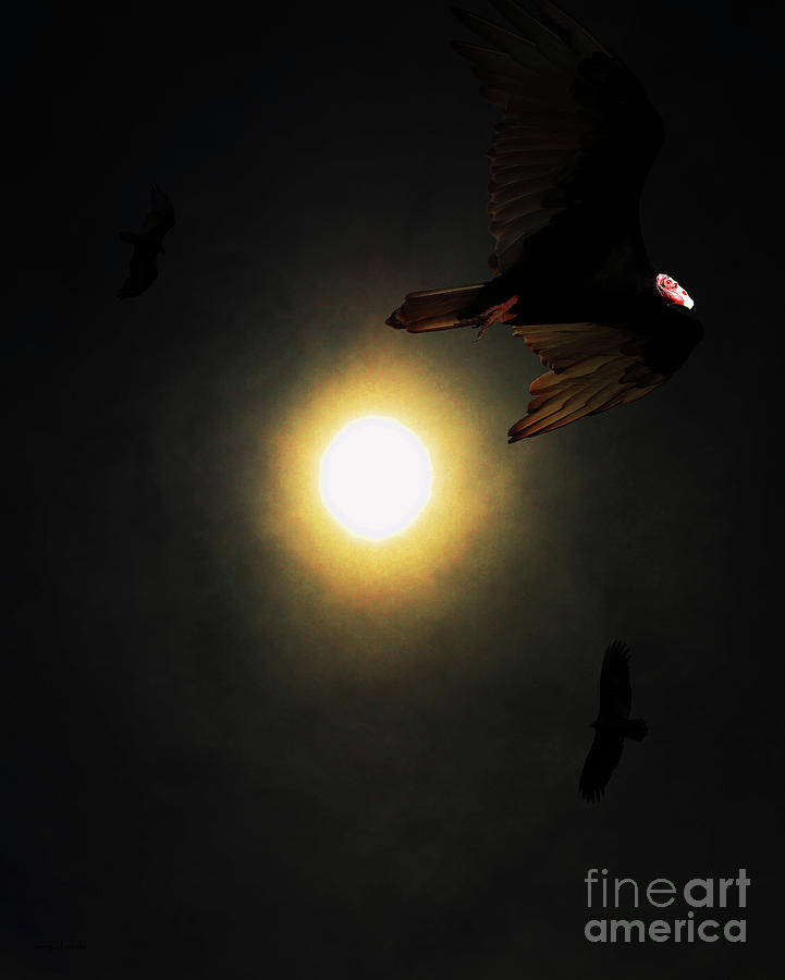 The Vultures Have Gathered In My Dreams . Portrait Cut Photograph by Wingsdomain Art and Photography