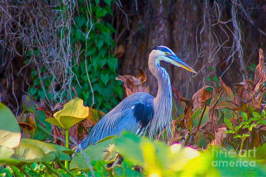 Majestic Great Blue Heron Painting by DB Hayes
