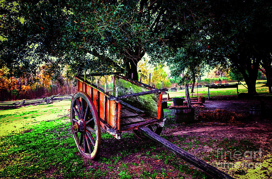 The Wagon Photograph by JB Thomas
