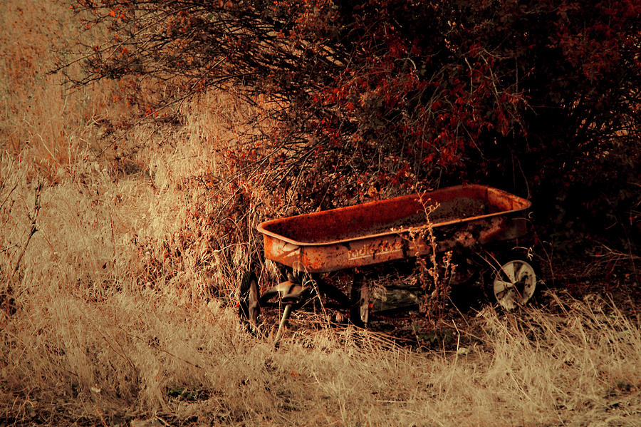 The Wagon Photograph by Troy Stapek
