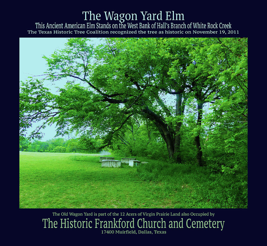 The Wagon Yard and The Wagon Yard Elm Mixed Media by Robert J Sadler