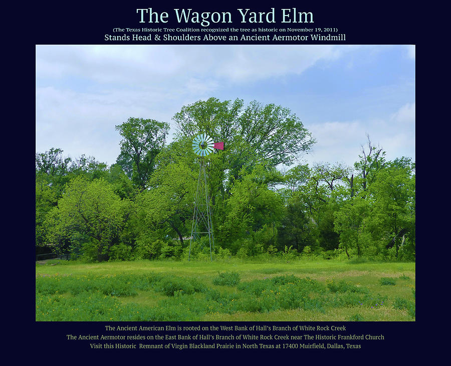 The Wagon Yard Elm Mixed Media by Robert J Sadler