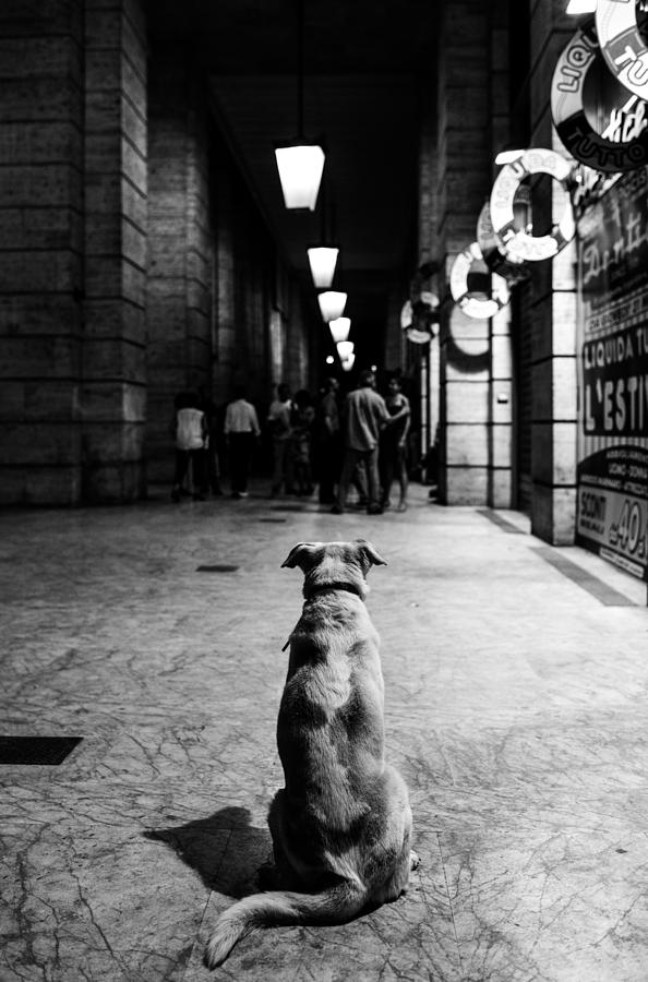 Black And White Photograph - The Wait by Alessandro Perino