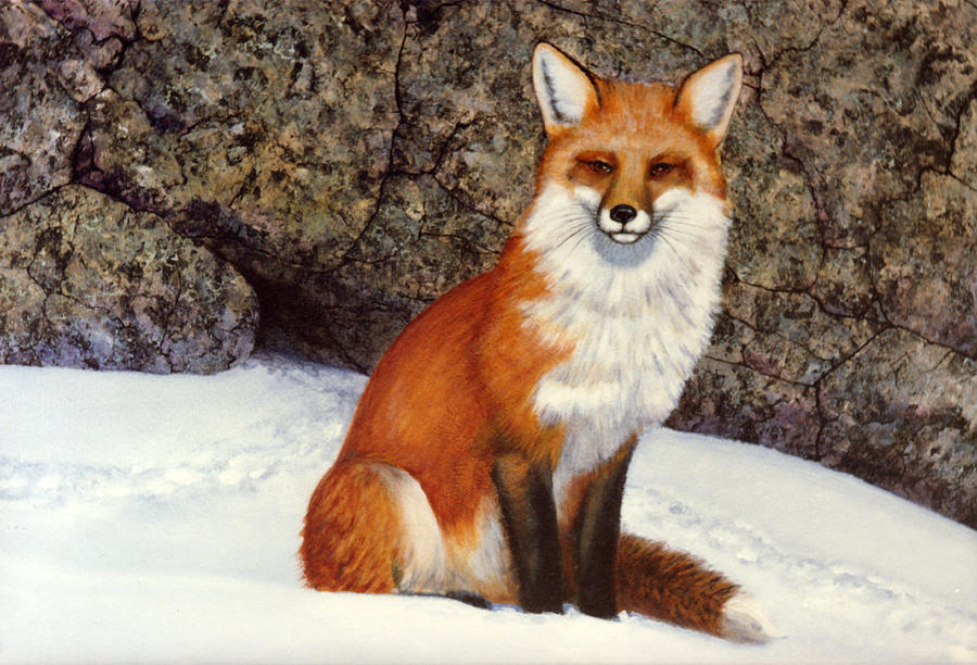 The Wait Red Fox Painting by Frank Wilson