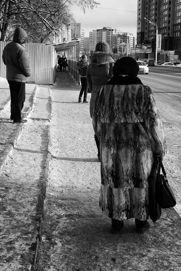 Fur Coat Waiting for a Bus  Photograph by John Williams