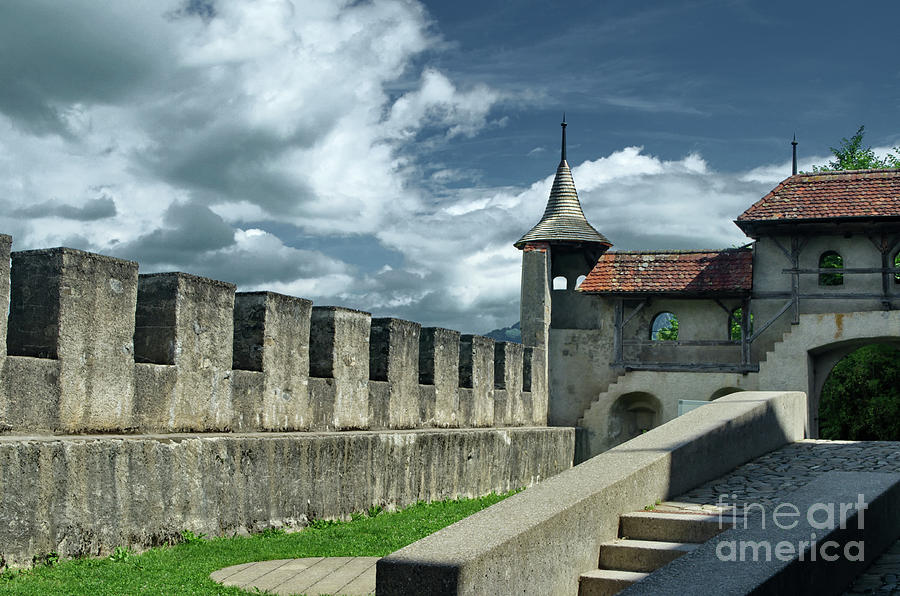 the wall of Gruyeres Photograph by Michelle Meenawong