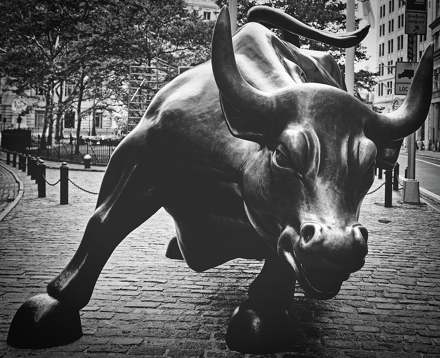 Black And White Photograph - The Wall Street Bull by Mountain Dreams