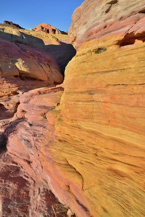 The Walls of Pastel Canyon in Valley of Fire Photograph by Ray Mathis