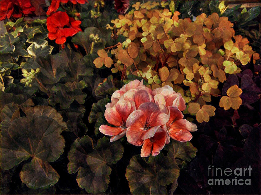 The Warmth of Summer - Colors in the Garden Photograph by Miriam Danar