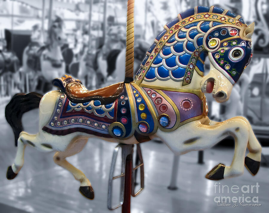 The Warrior Steed Photograph by Colleen Kammerer