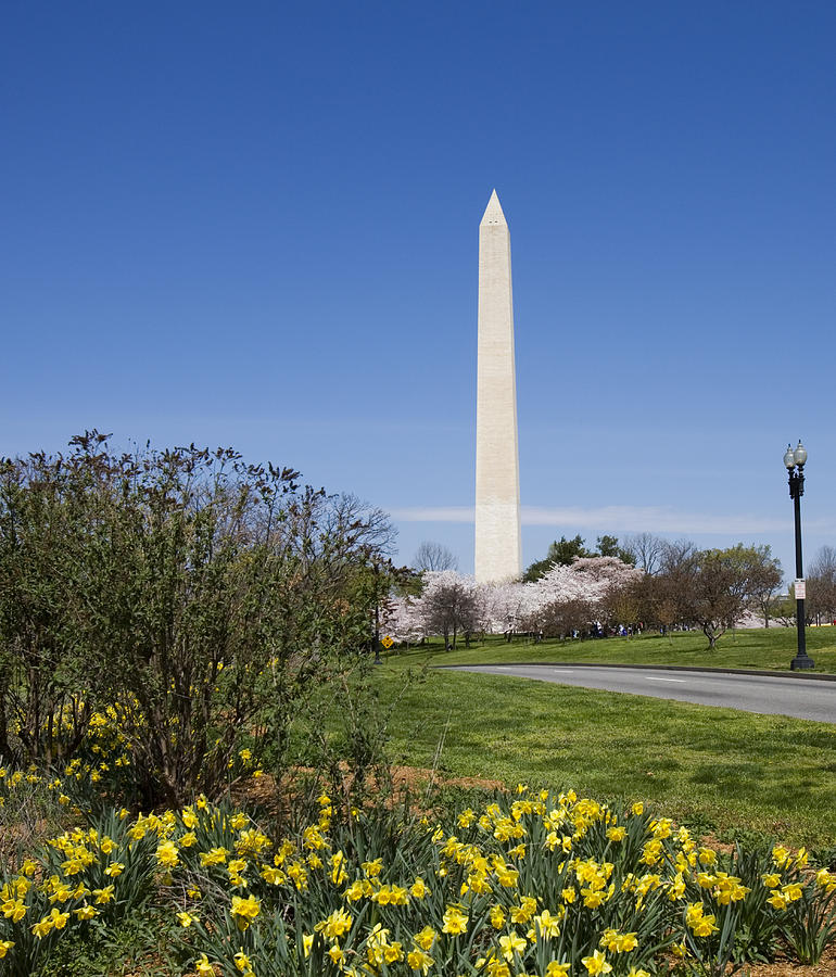 Spring Photograph - The Washington Monument during spring by Brendan Reals