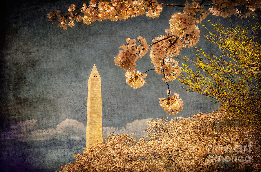 The Washington Monument Photograph by Lois Bryan