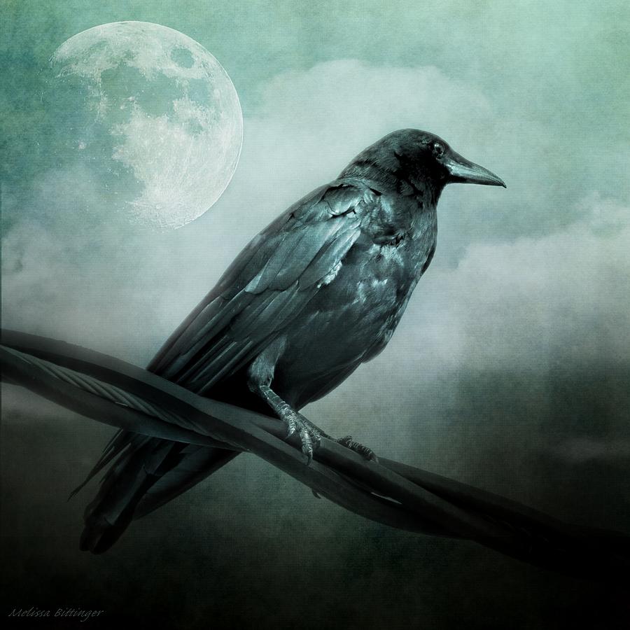 The Watcher Surreal Raven Crow Moon and Clouds Photograph by Melissa Bittinger