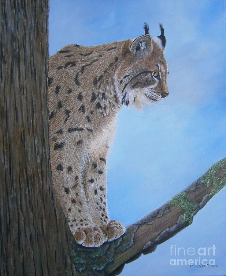 The Watcher by Tracey Goodwin The Watcher by Tracey Goodwin
