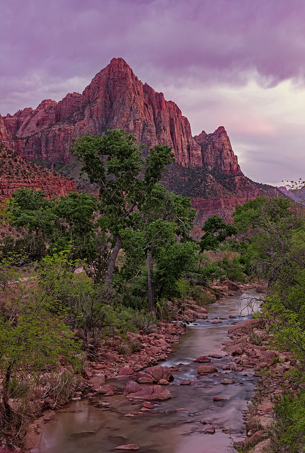 The Watchman at Dusk Photograph by Loree Johnson