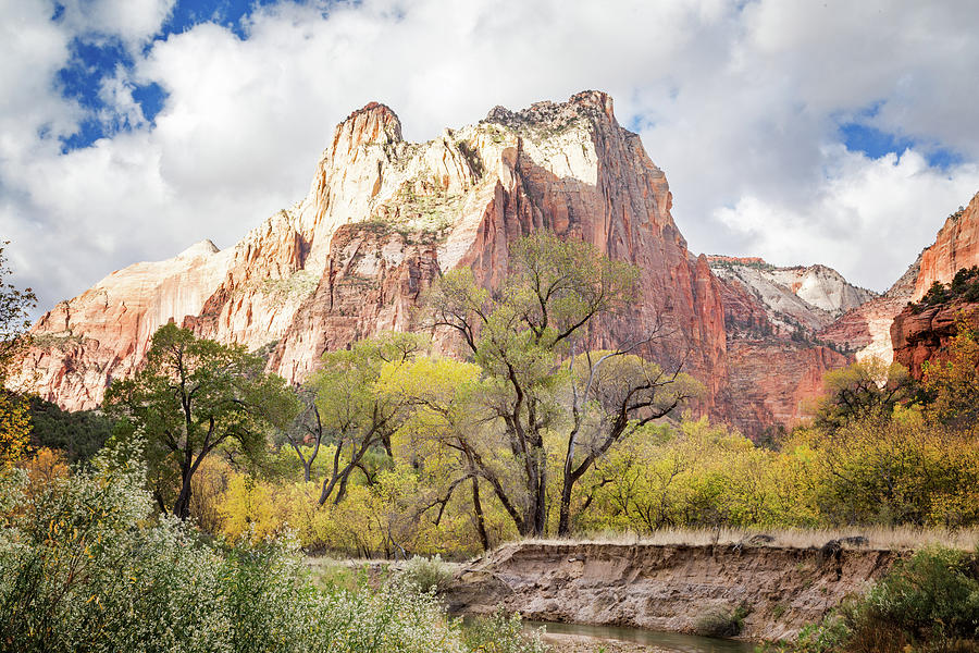 The Watchman At Zion National Park Photograph