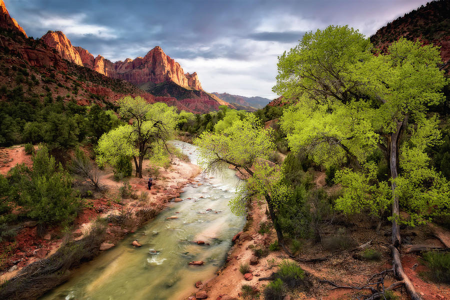 Zion National Park Photograph - The Watchman by Eduard Moldoveanu