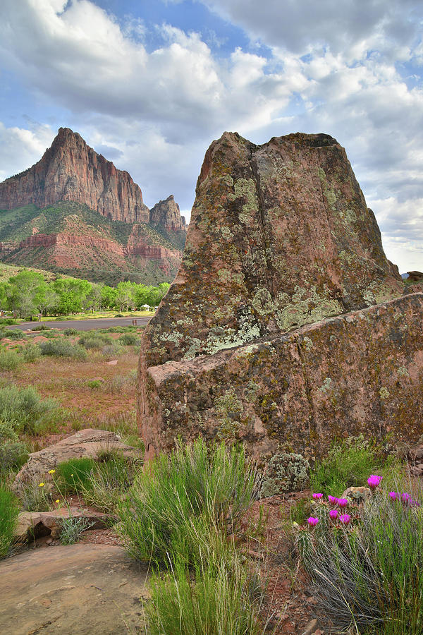 The Watchman II Photograph by Ray Mathis