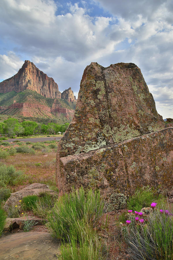 The Watchman III Photograph by Ray Mathis