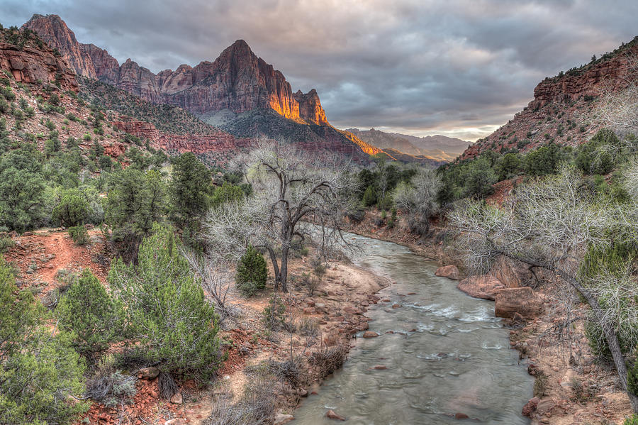 The Watchman Photograph by Paul Schultz