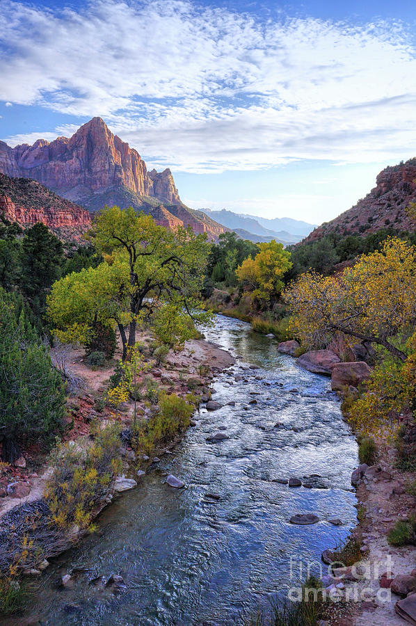 The Watchman Photograph by Roxie Crouch