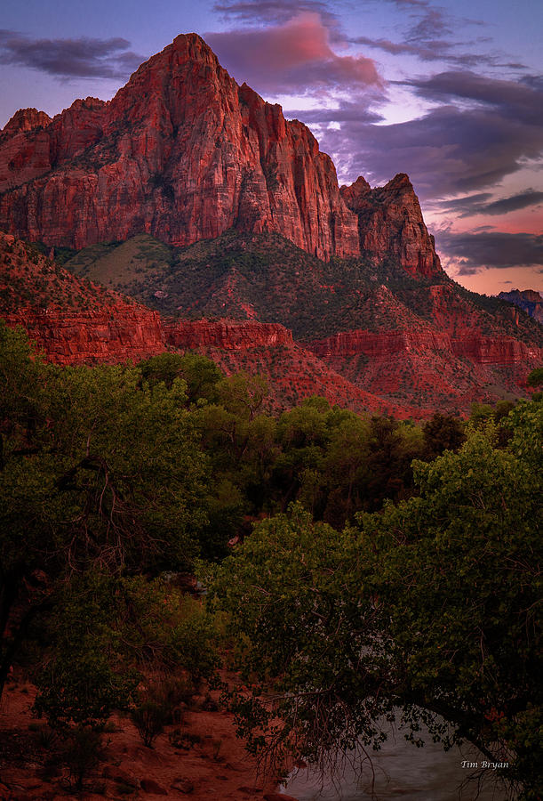 Zion National Park Photograph - The Watchman by Tim Bryan