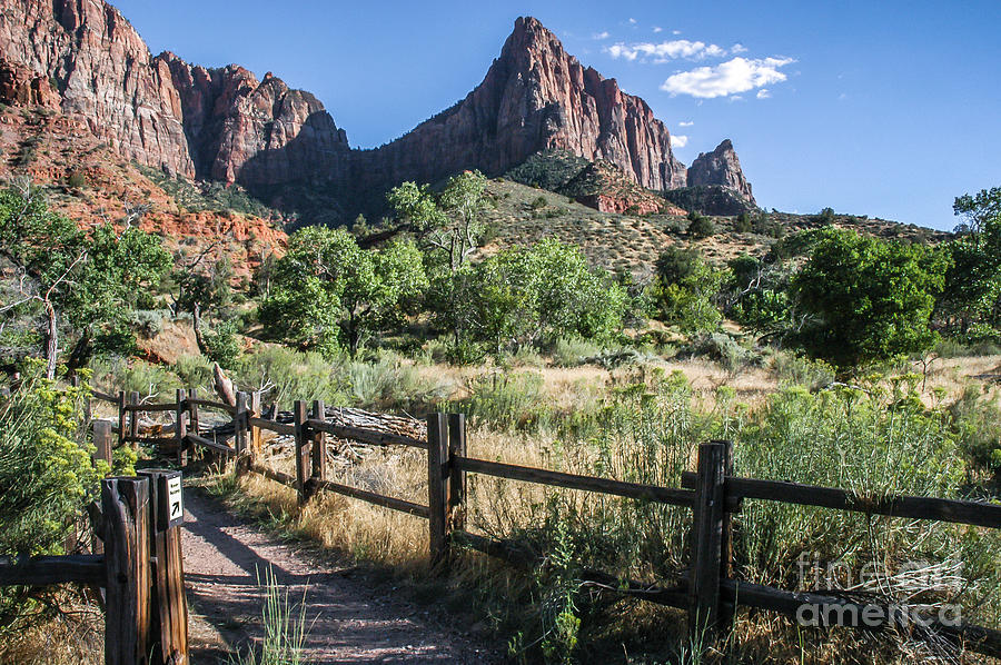 The Watchman Trail-head Photograph by Al Andersen