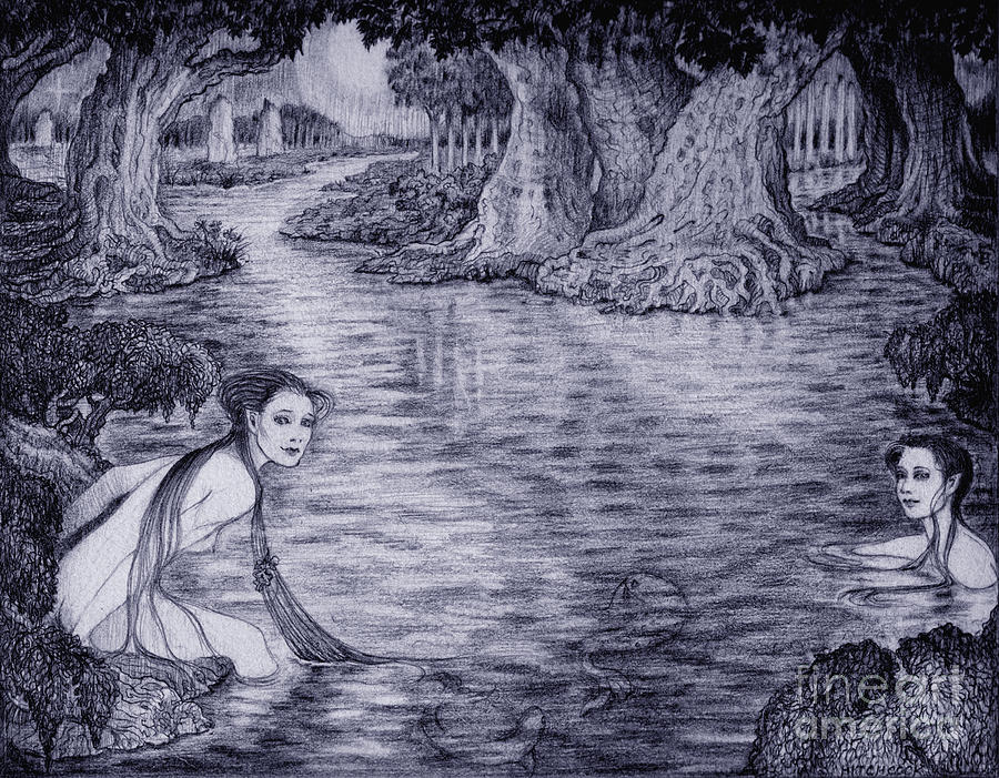 The Water Nymphs Drawing by Debra Hitchcock
