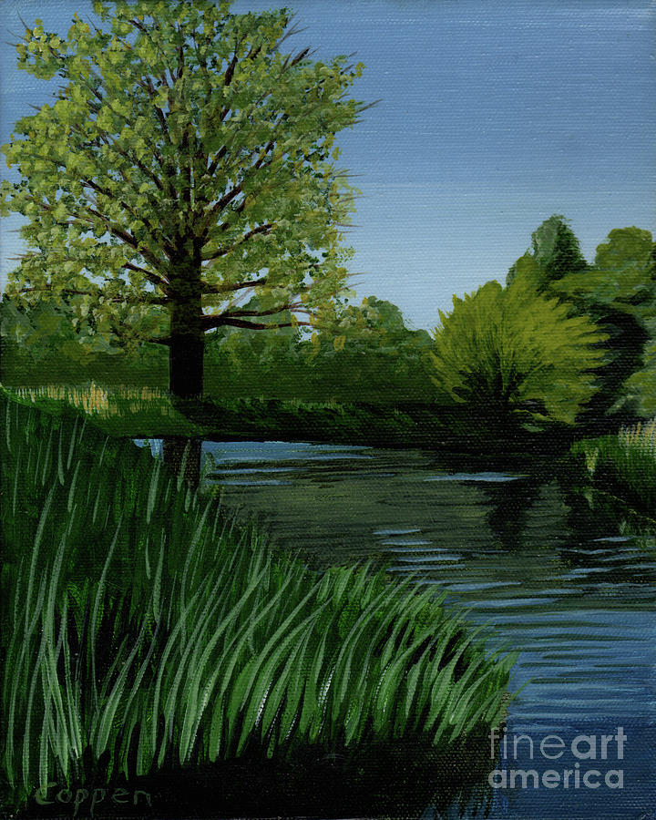 The Water Oak Painting by Robert Coppen