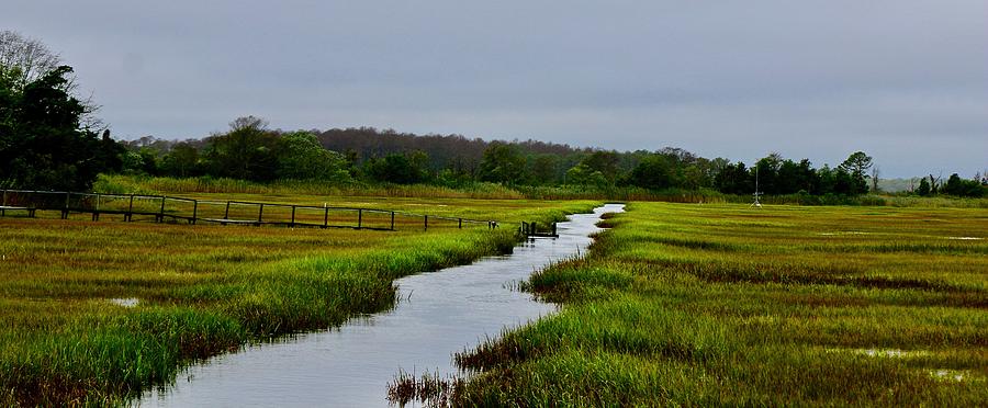 The Water Road Through the Marsh Photograph by Shawn M Greener